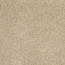 Shaw Floors Qualco Homes Qh Platinum Twist Travertine