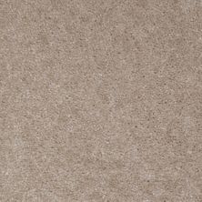 Shaw Floors Roll Special Qs112 Driftwood 00166_QS112