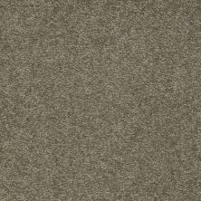 Shaw Floors Roll Special Qs157 12' Alpine Fern