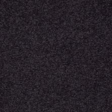 Shaw Floors Roll Special Qs157 12' Graphite