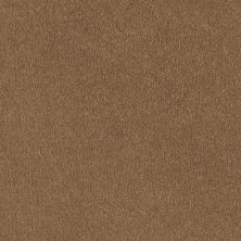 Shaw Floors Roll Special Qs157 12' Peanut Brittle