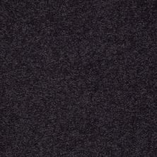 Shaw Floors Roll Special Qs158 12' Graphite