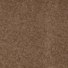 Shaw Floors Roll Special Qs158 12' Pine Cone