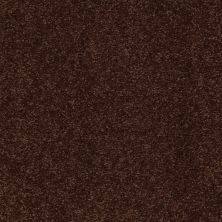 Shaw Floors Roll Special Qs158 12' Coffee Bean