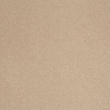 Shaw Floors Roll Special Qs159 12' Stucco