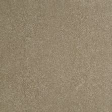 Shaw Floors Roll Special Qs159 12' Chinchilla