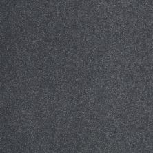 Shaw Floors Roll Special Qs159 12' Cadet