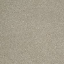 Shaw Floors Roll Special Qs159 12' London Fog