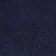 Shaw Floors Roll Special Qs160 15' Indigo
