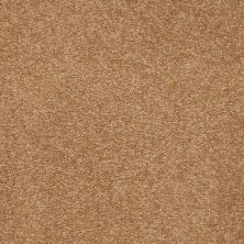 Shaw Floors Roll Special Qs162 15' Peanut Brittle