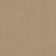 Shaw Floors Roll Special Qs203 12′ Unspecified 00109_QS203