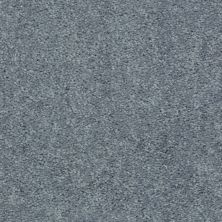 Shaw Floors Roll Special Qs206 15′ Unspecified 00511_QS206