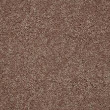 Shaw Floors Roll Special Qs206 15′ Unspecified 00752_QS206