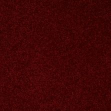 Shaw Floors Roll Special Qs216 Red Wine 00801_QS216