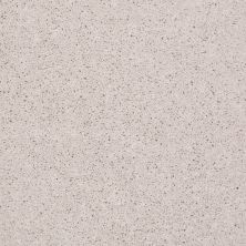 Shaw Floors Roll Special Qs232 Halo