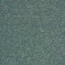 Shaw Floors Roll Special Qs232 Castaway