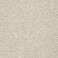 Shaw Floors Roll Special Qs529 Goose Down