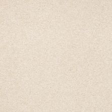 Shaw Floors Roll Special Qs580 Butternut