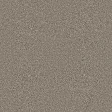 Shaw Floors Simply The Best Qs858 Cottage 00103_QS858