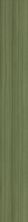 Philadelphia Commercial Resilient Commercial Color Scope 5 Cactus 00350_5041V