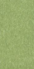 Shaw Builder Flooring Clayton Homes Gallatin Tile Inquire 24326_C331Y