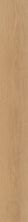Philadelphia Commercial Resilient Commercial Willow Oak 12m Golden Oak 01229_5714V