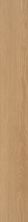Philadelphia Commercial Resilient Commercial Willow Oak 20m Golden Oak 01229_5715V
