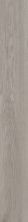 Philadelphia Commercial Resilient Commercial Willow Oak 20m Silver Oak 05279_5715V