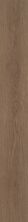 Philadelphia Commercial Resilient Commercial Willow Oak 20m Grounded Oak 07366_5715V