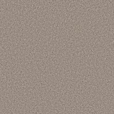 Shaw Floors Pet Perfect Remixed Classic TEXTURE Pebble BRIS-00115_5E679