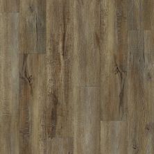 Shaw Floors Sumitomo Forestry Adderberry Modeled Oak 00709_SA0SF