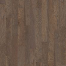 Shaw Floors SFA Timber Gap 5 Canada Granite 00510_SA25C