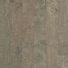 Shaw Floors SFA Tallahassee Windsurf 05034_SA426