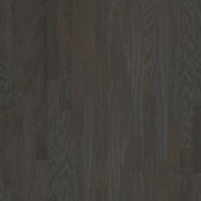 Shaw Floors SFA Arden Oak 3.25 Charcoal 05013_SA489