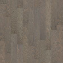 Shaw Floors SFA Arden Oak 5 Weathered 00543_SA490