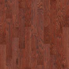 Shaw Floors SFA Arden Oak 5 Cherry 00947_SA490