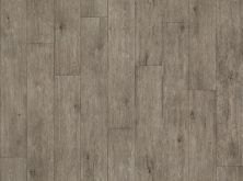 Shaw Floors Resilient Residential Plateau Pathfinder 00551_SA605