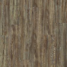 Shaw Floors SFA Cornerstone Plank Tattered Barnboard 00717_SA629