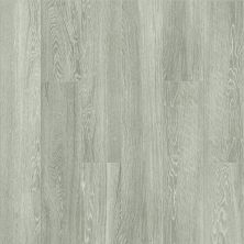 Shaw Floors SFA Oakmont 6×36 Thatch 00200_SA931