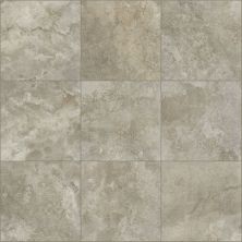 Shaw Floors SFA Form 20×20 Emerge 00700_SA978