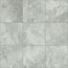 Shaw Floors SFA Form 13×13 Evolve 00500_SA979