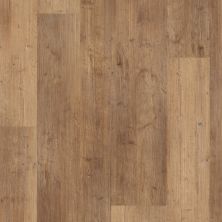 Shaw Floors Sumitomo Forestry Vermillion Mix Touch Pine 00690_SA9SF