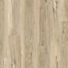Shaw Floors Sumitomo Forestry Dark Star Plank Mineral Maple 00297_SC2SF