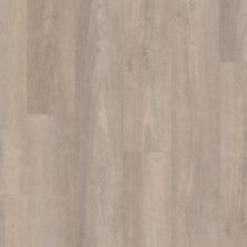 Shaw Floors Sumitomo Forestry Dark Star Plank Greige Walnut 05078_SC2SF