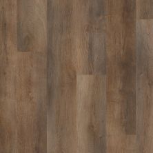 Shaw Floors Sumitomo Forestry Dark Star Plank Highlight Oak 07061_SC2SF
