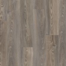 Shaw Floors Sumitomo Forestry Dark Star Plank Grey Chestnut 07062_SC2SF