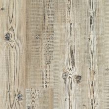Shaw Floors Sumitomo Forestry Dark Star Plank Accent Pine 07063_SC2SF