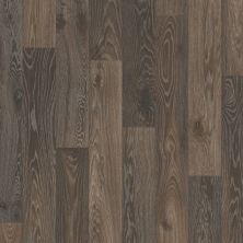 Shaw Floors Sumitomo Forestry Organic Luxe Everett 00749_SC6SF