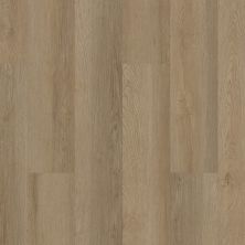 Shaw Floors Sumitomo Forestry Noble Ridge Grand Canyon 02027_SD4SF