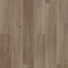Shaw Floors Sumitomo Forestry Mayfly Buckingham Oak 02102_SF0SF